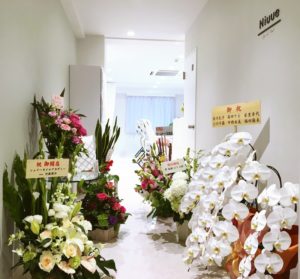 Processed with MOLDIV