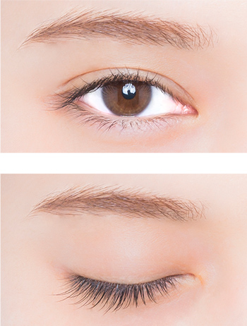 60本（片目30本）